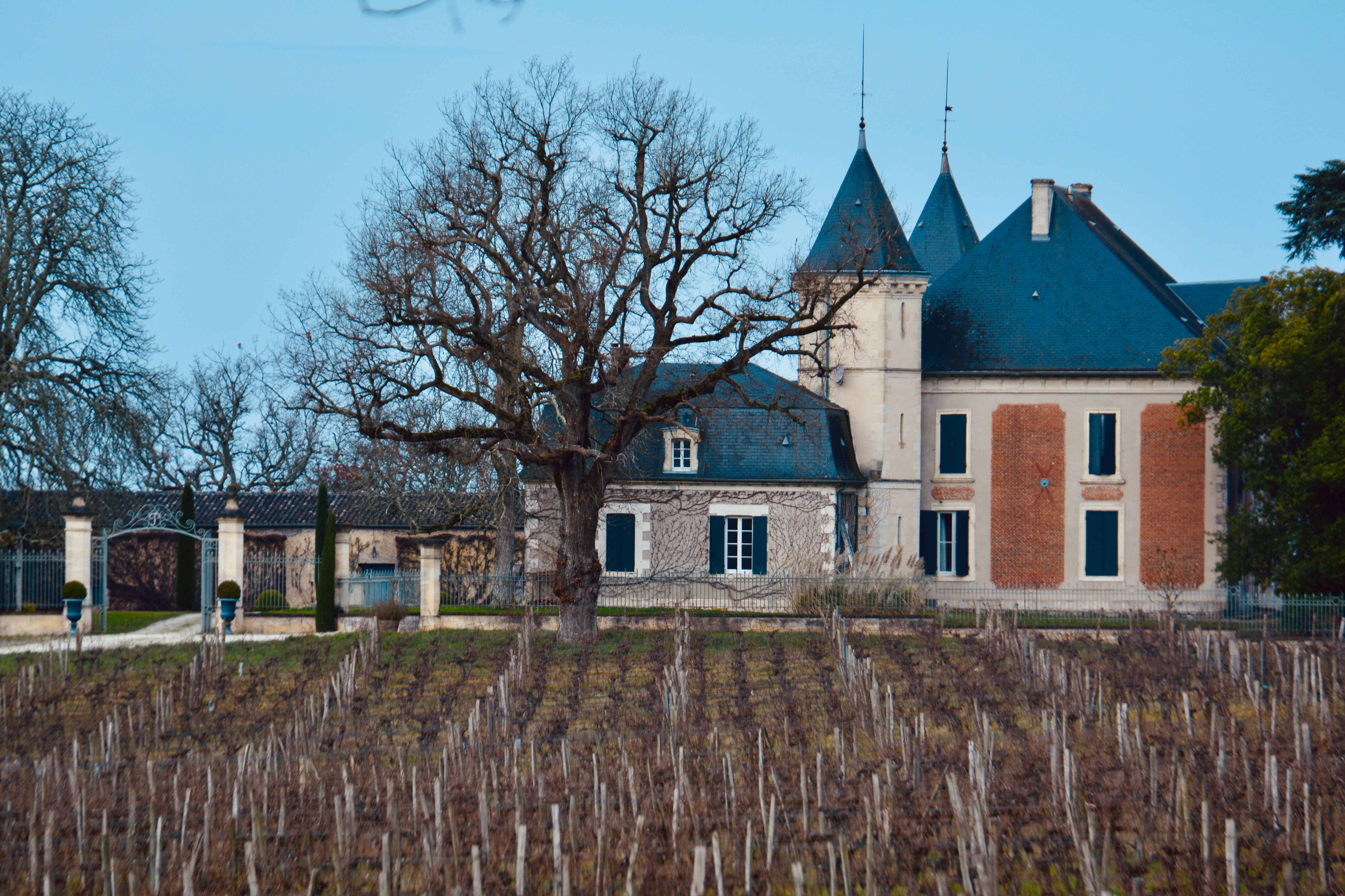 Château Viticole Exceptionnel en Gironde