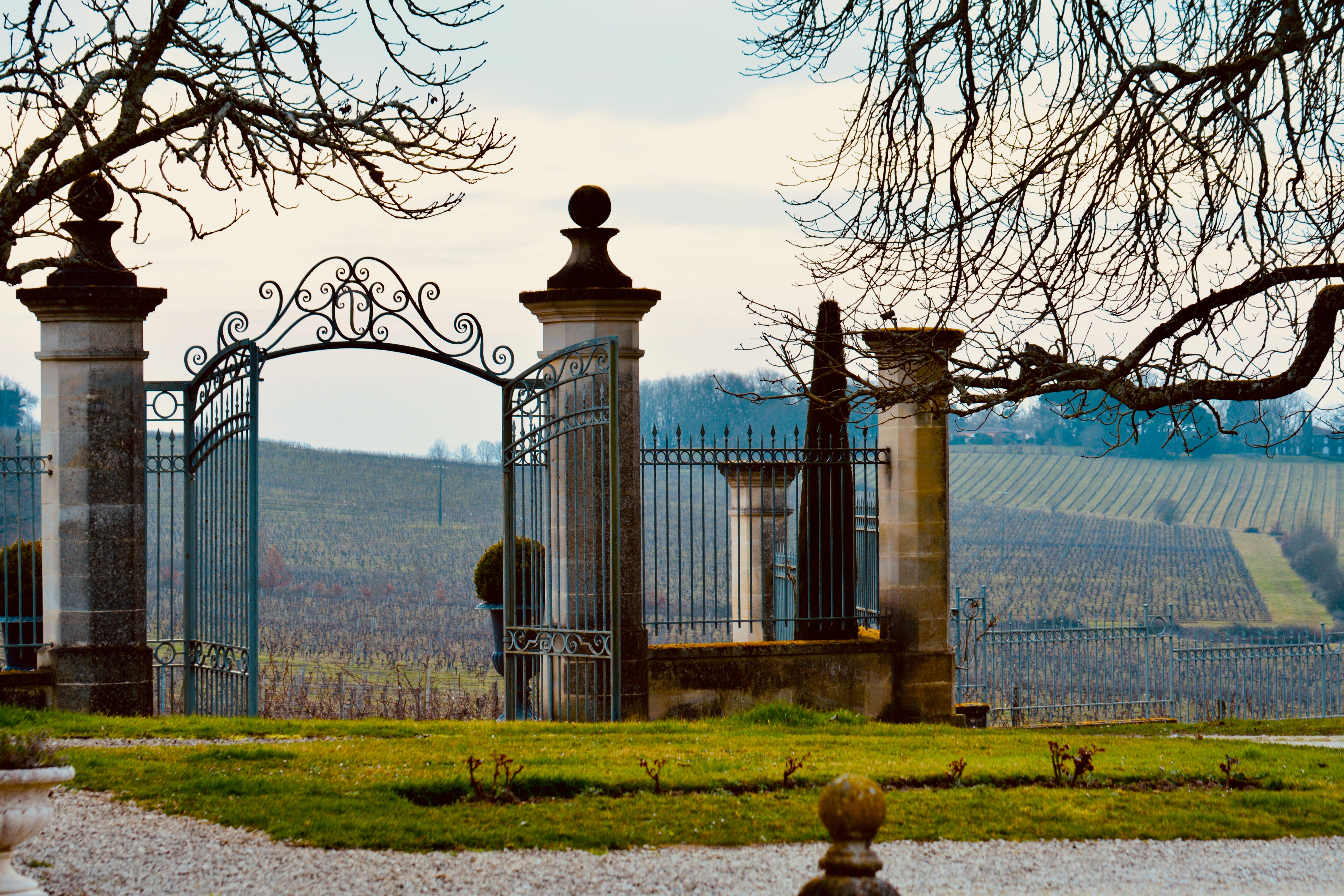 Château Viticole Exceptionnel en Gironde