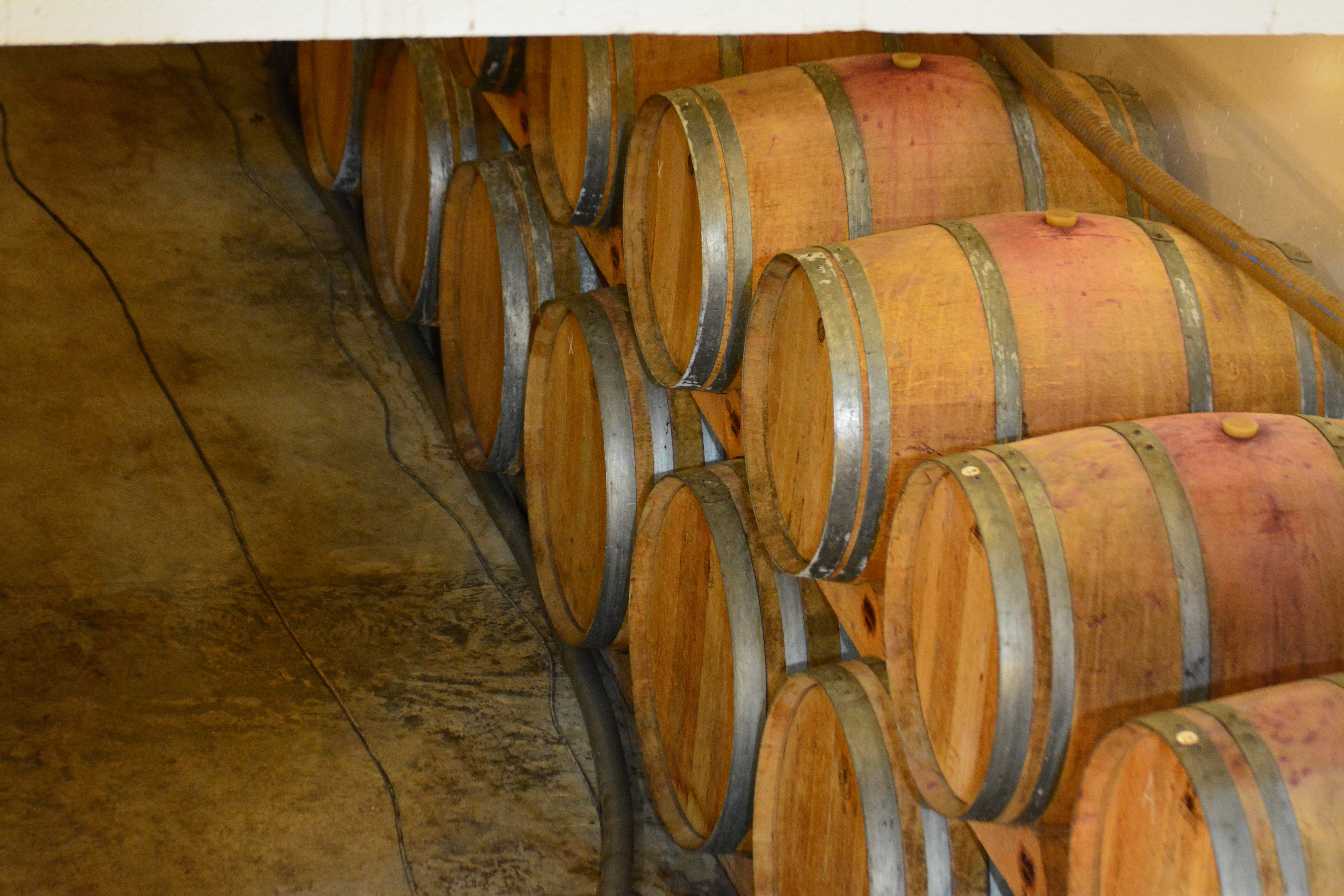 Château Viticole Exceptionnel en Gironde