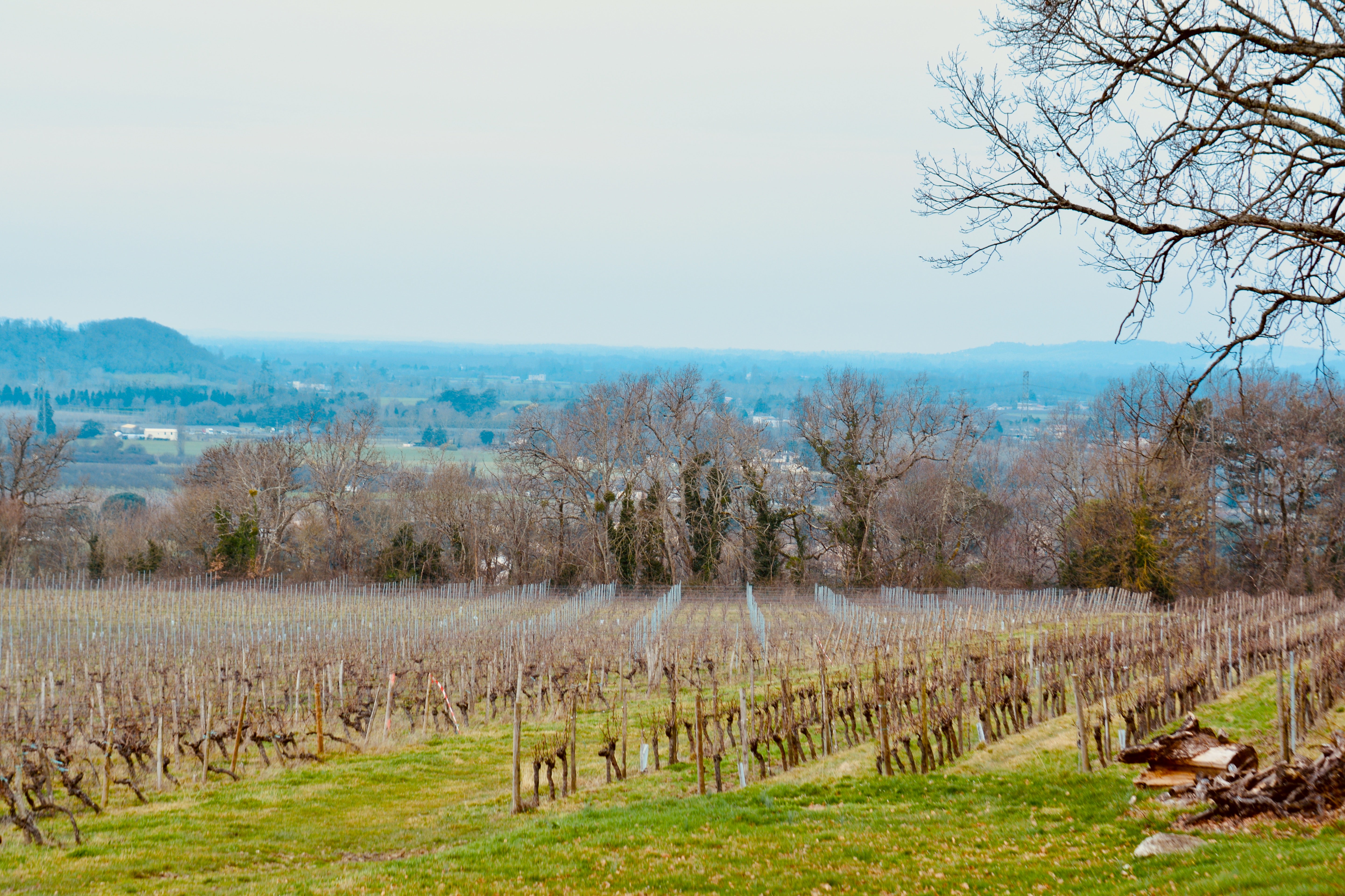 Château Viticole Exceptionnel en Gironde