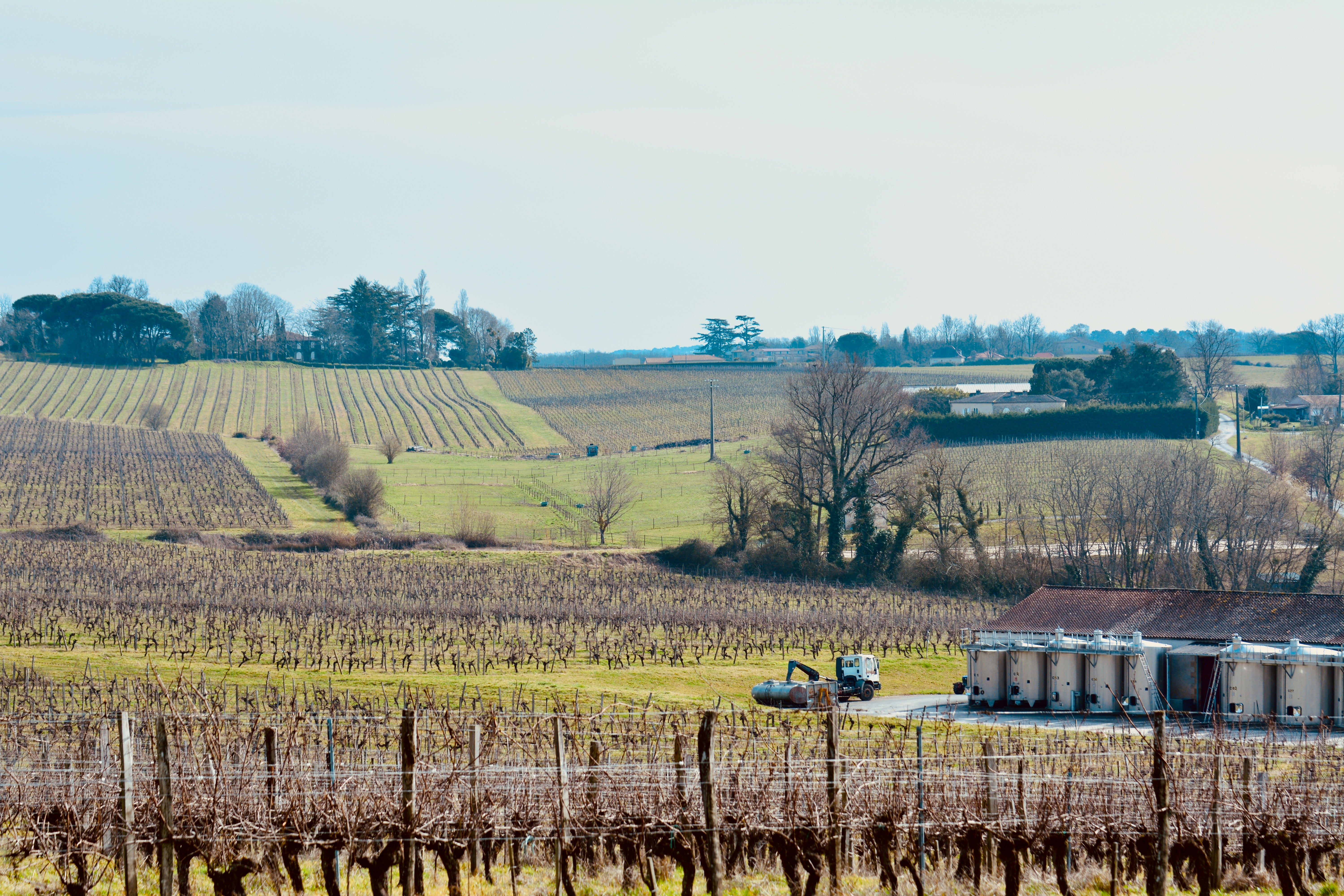 Château Viticole Exceptionnel en Gironde