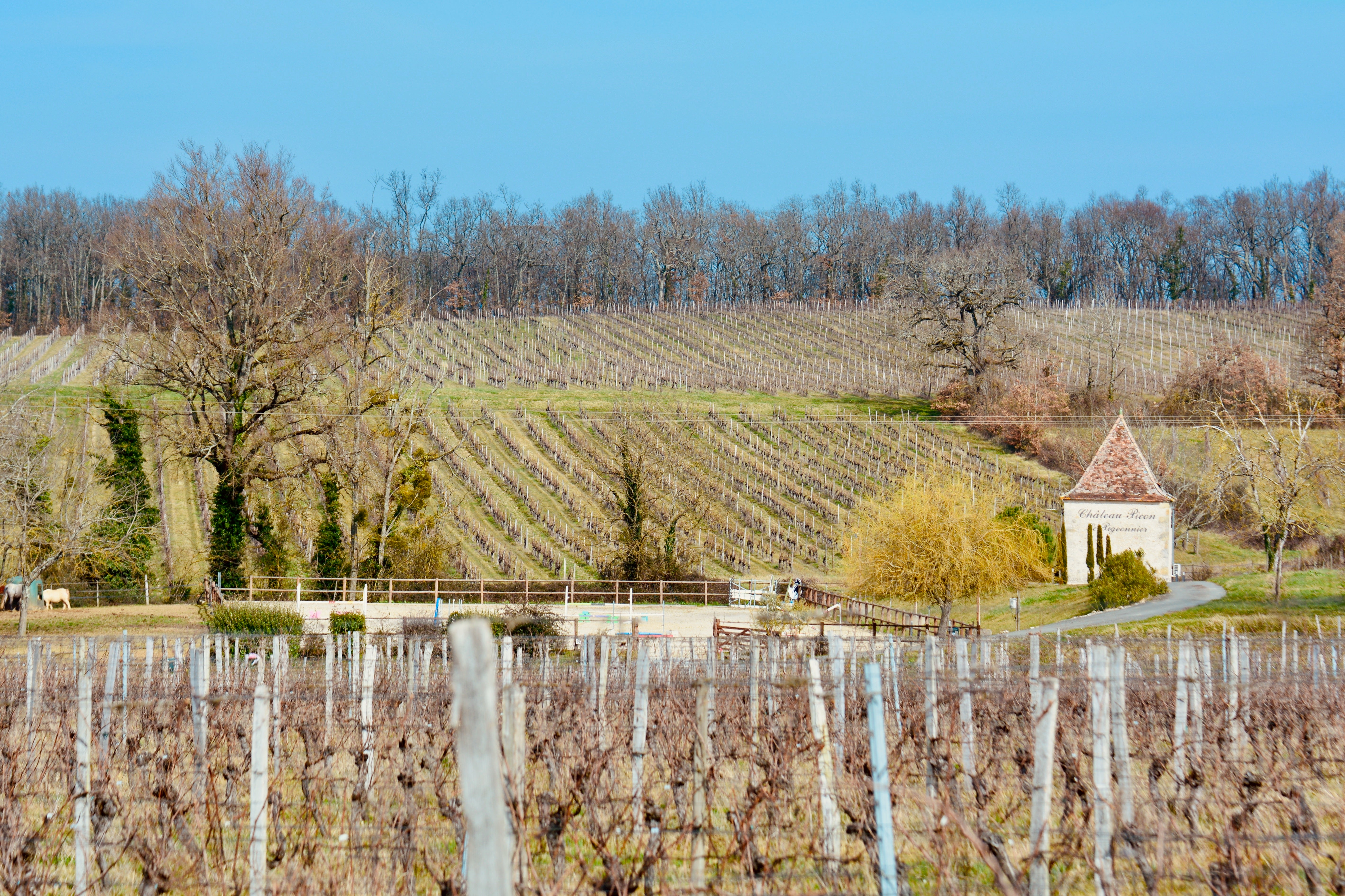 Château Viticole Exceptionnel en Gironde