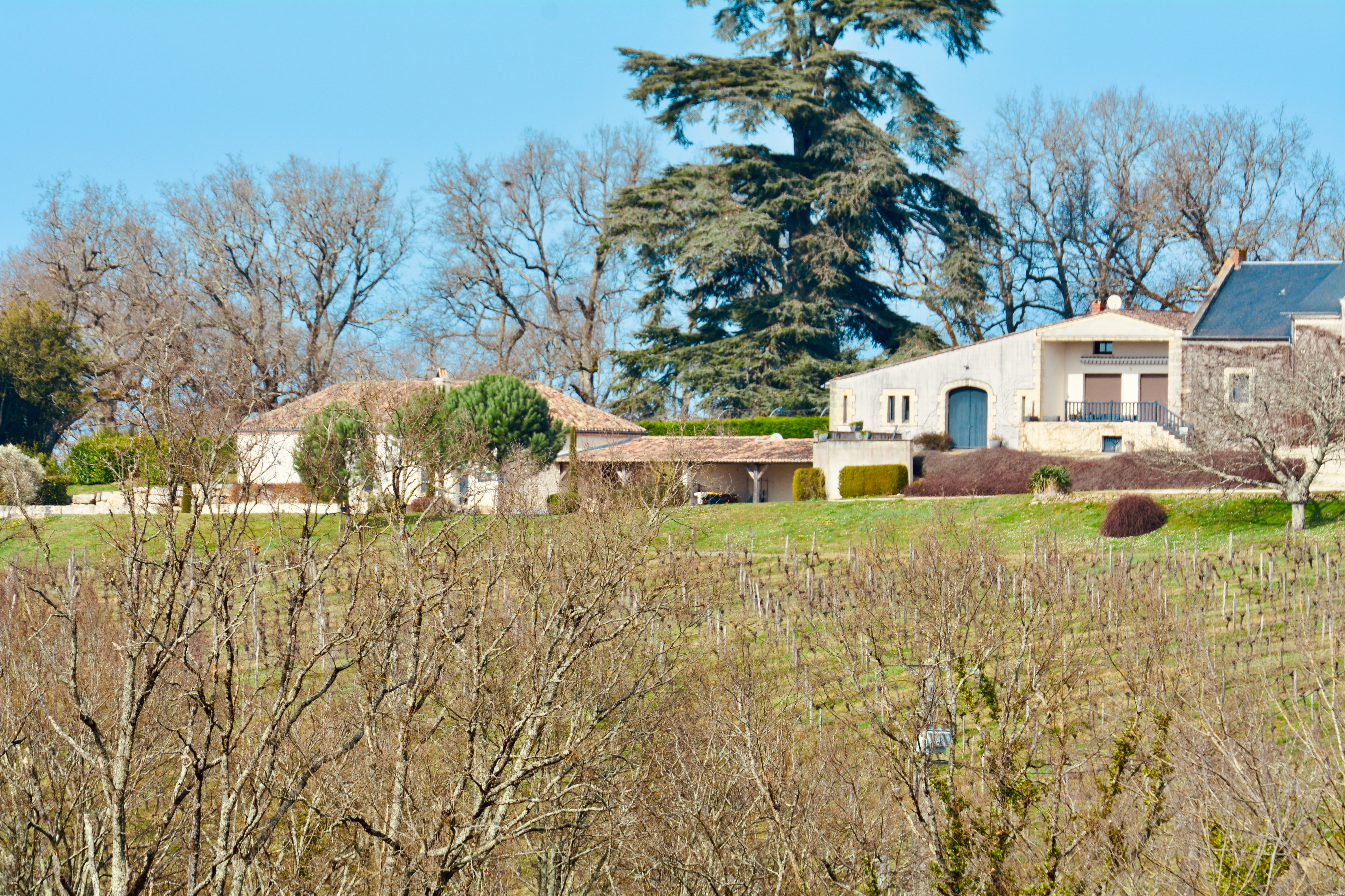 Château Viticole Exceptionnel en Gironde